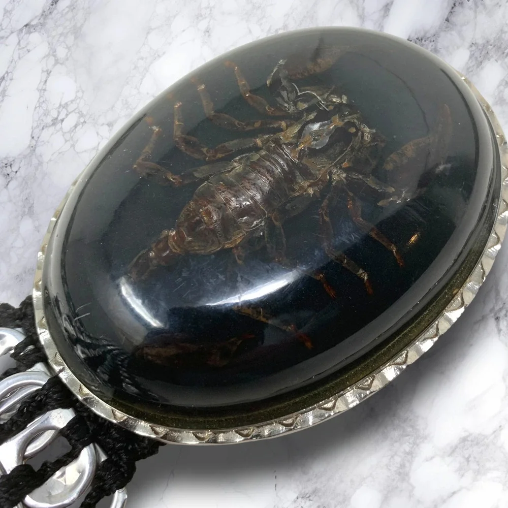 Vtg Walleska Ecochicc Waist Belt Lucite Scorpion Buckle Upcycled Soda Tab 44